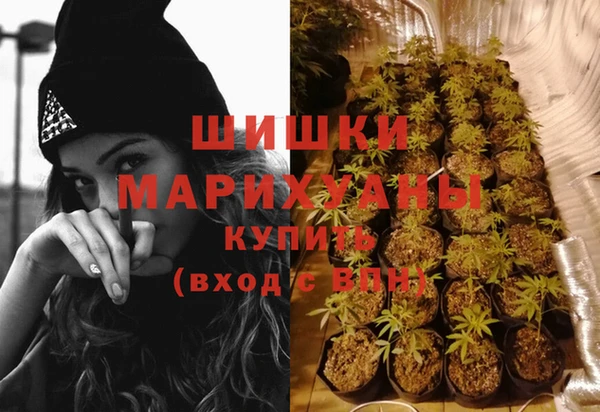 спайс Няндома