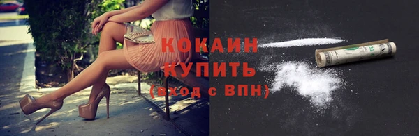 спайс Няндома
